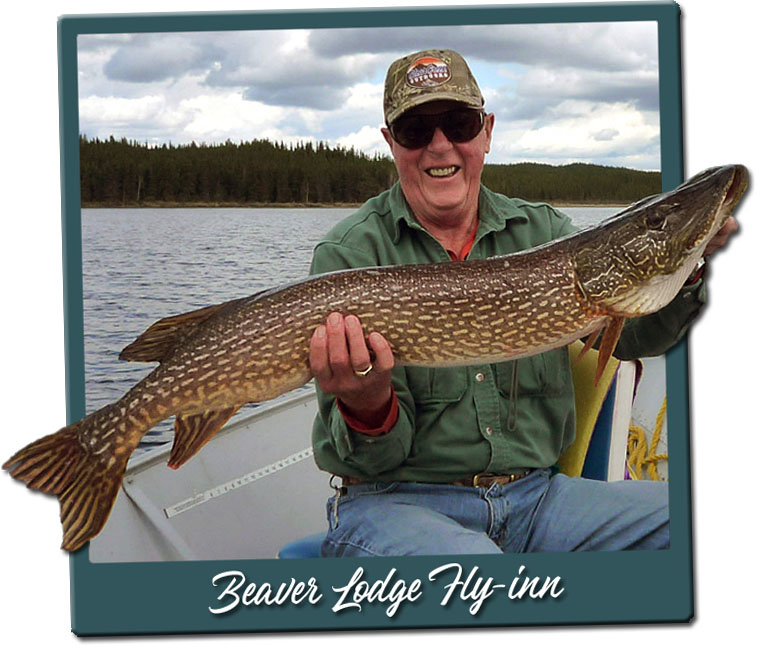 Saskatchewan Fly-in Trophy Northern Pike Fishing Lodge